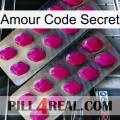 Love Secret Code 10